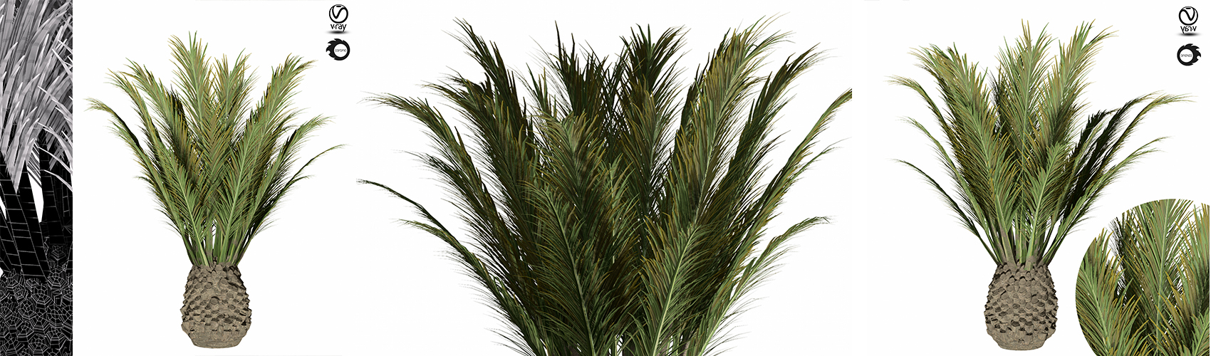 Product banner image