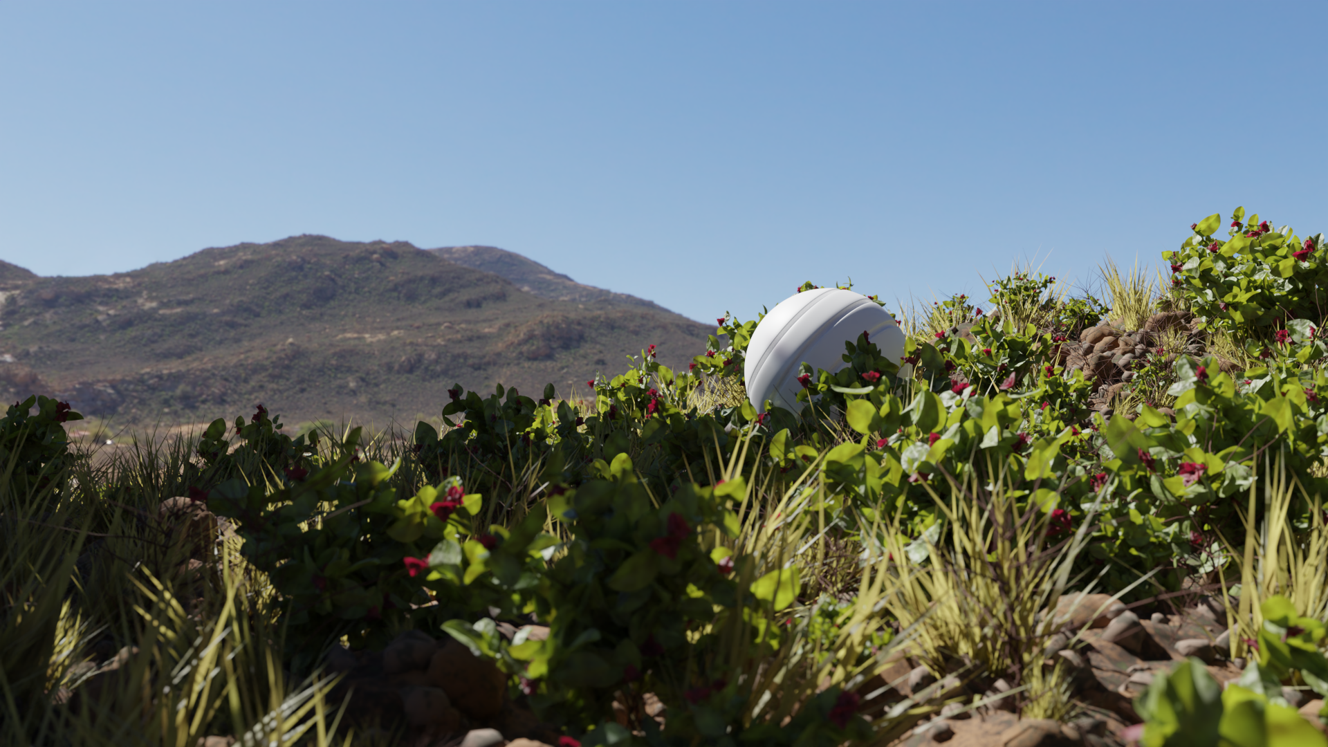 Product banner image