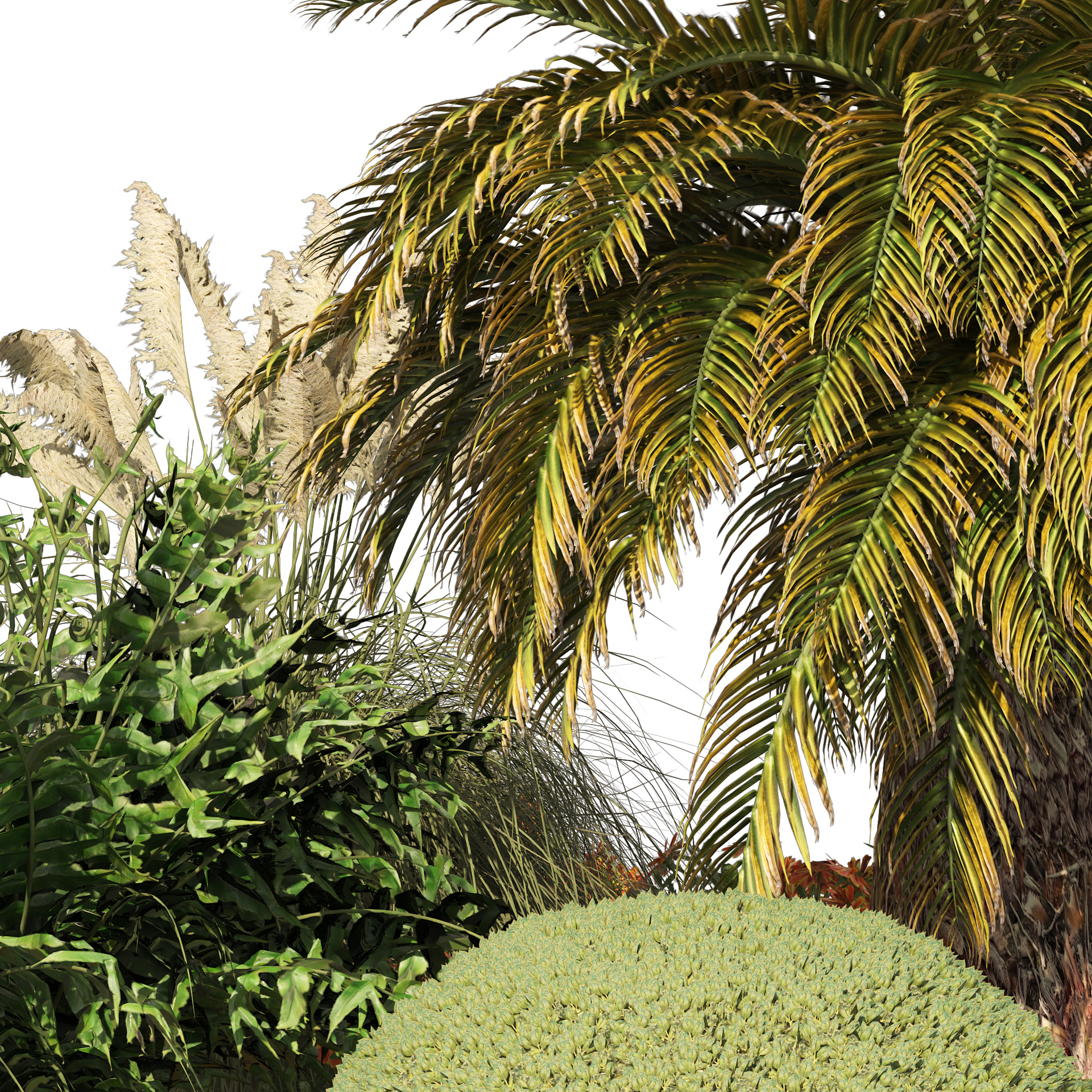 Product banner image