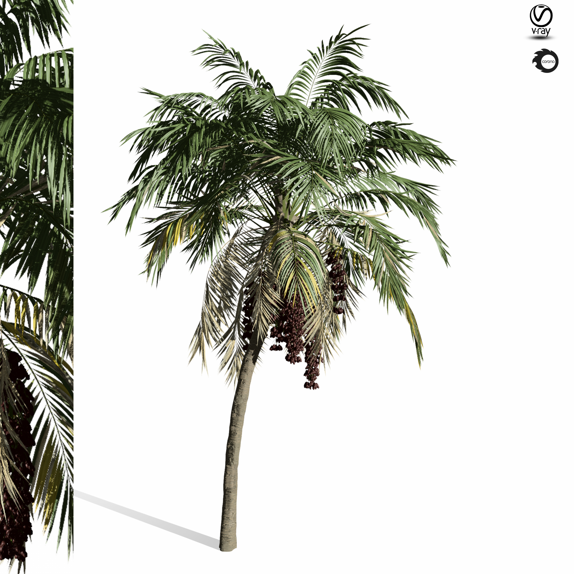 Product banner image