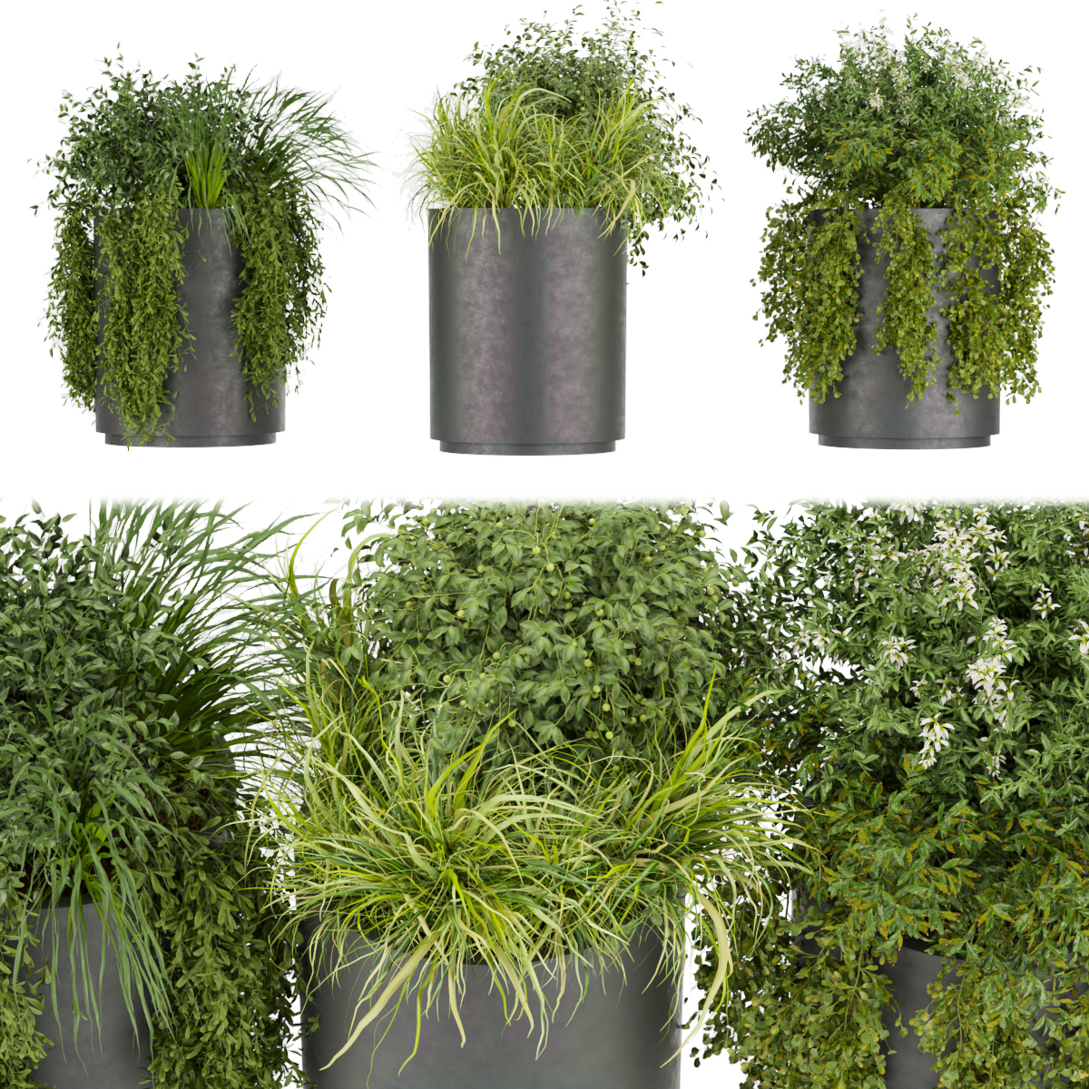 Product banner image