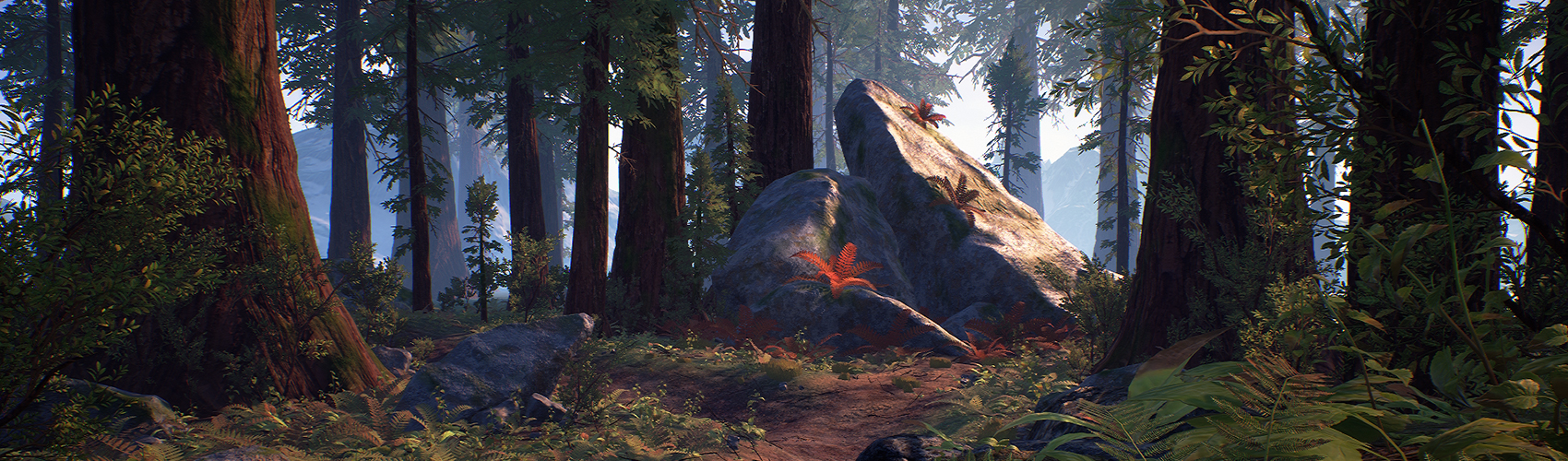 Product banner image