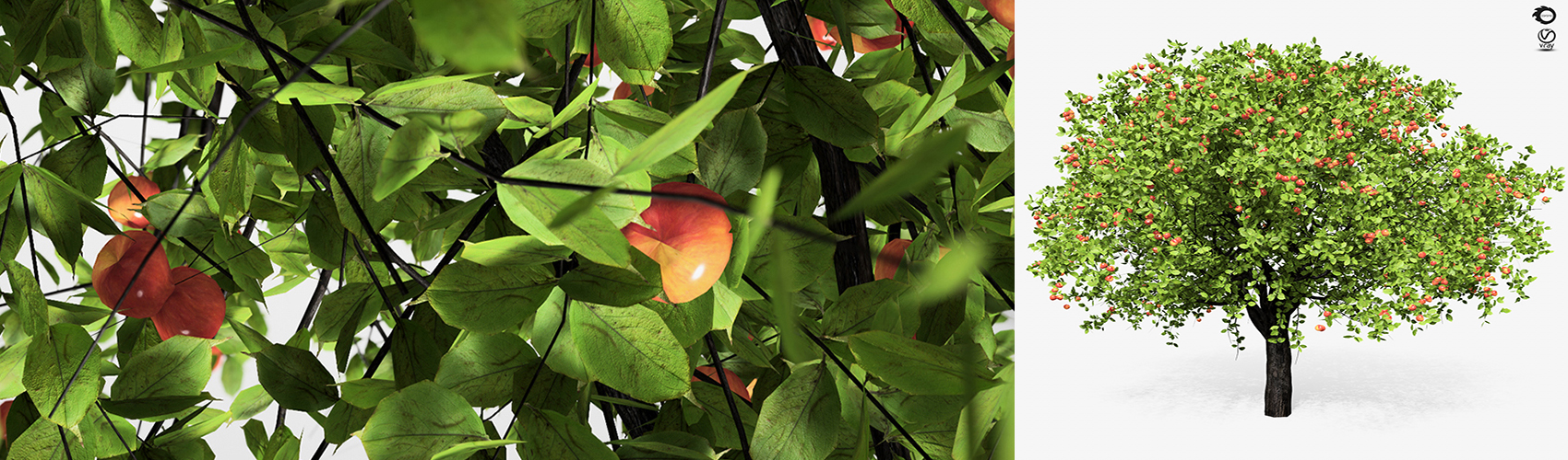 Product banner image