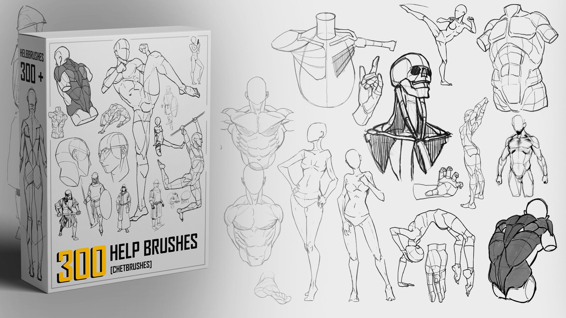 Product banner image